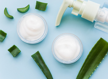 Aloe vera dijuluki tanaman ajaib yang kini banyak dipakai sebagai bahan skincare. Kandungan nutrisi pada bagian gelnya bermanfaat bagi kecantikan kulit, termasuk mengatasi jerawat.